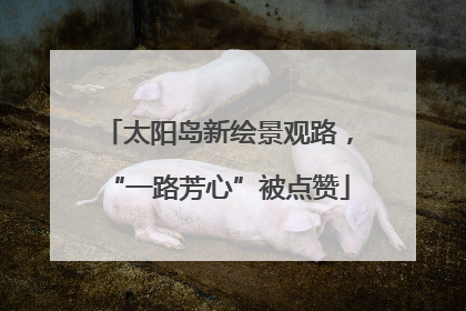 太阳岛新绘景观路，“一路芳心”被点赞