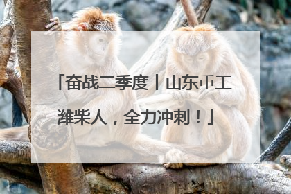 奋战二季度丨山东重工潍柴人，全力冲刺！