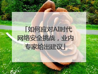 如何应对AI时代网络安全挑战，业内专家给出建议
