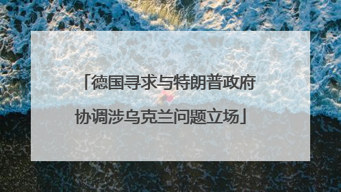 德国寻求与特朗普政府协调涉乌克兰问题立场