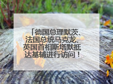 德国总理默茨、法国总统马克龙、英国首相斯塔默抵达基辅进行访问！俄罗斯：乌克兰一直在回避谈判