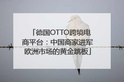 德国OTTO跨境电商平台：中国商家进军欧洲市场的黄金跳板
