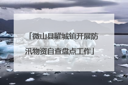 微山县驩城镇开展防汛物资自查盘点工作