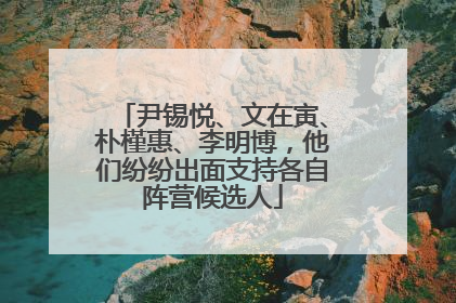 尹锡悦、文在寅、朴槿惠、李明博，他们纷纷出面支持各自阵营候选人