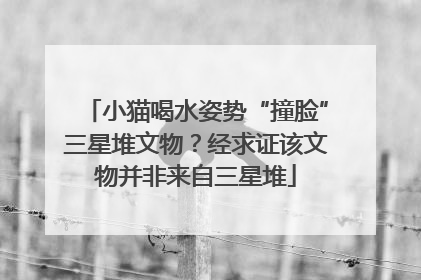 小猫喝水姿势“撞脸”三星堆文物？经求证该文物并非来自三星堆