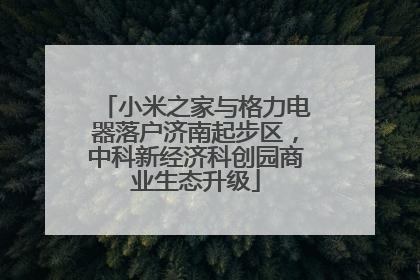 小米之家与格力电器落户济南起步区，中科新经济科创园商业生态升级