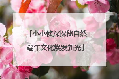 小小侦探探秘自然 端午文化焕发新光