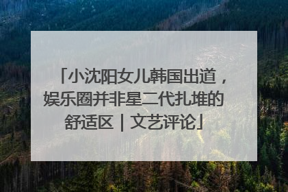 小沈阳女儿韩国出道，娱乐圈并非星二代扎堆的舒适区｜文艺评论