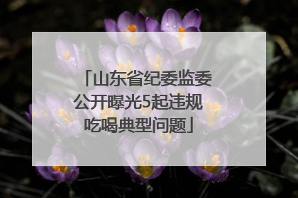 山东省纪委监委公开曝光5起违规吃喝典型问题