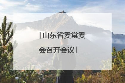 山东省委常委会召开会议