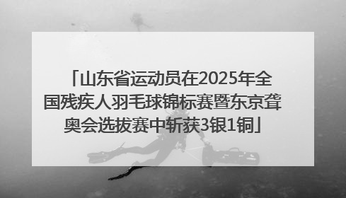 山东省运动员在2025年全国残疾人羽毛球锦标赛暨东京聋奥会选拔赛中斩获3银1铜