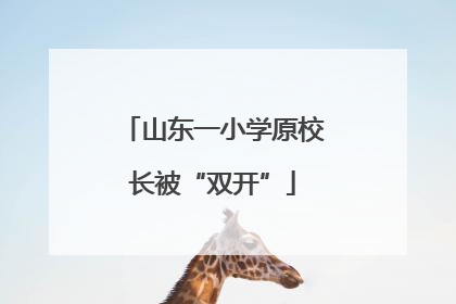 山东一小学原校长被“双开”