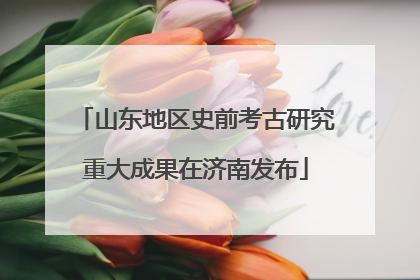 山东地区史前考古研究重大成果在济南发布