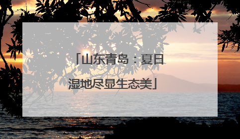 山东青岛：夏日湿地尽显生态美