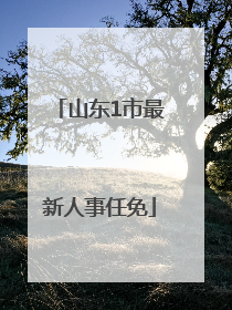 山东1市最新人事任免
