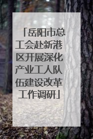 岳阳市总工会赴新港区开展深化产业工人队伍建设改革工作调研