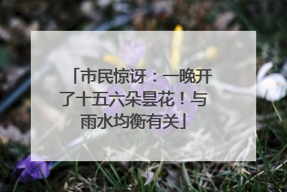 市民惊讶：一晚开了十五六朵昙花！与雨水均衡有关