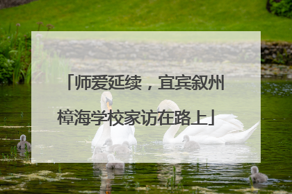师爱延续，宜宾叙州樟海学校家访在路上