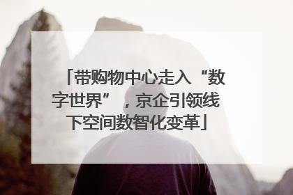 带购物中心走入“数字世界”，京企引领线下空间数智化变革