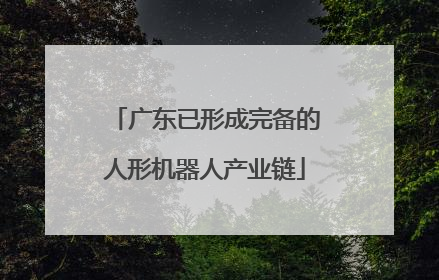 广东已形成完备的人形机器人产业链