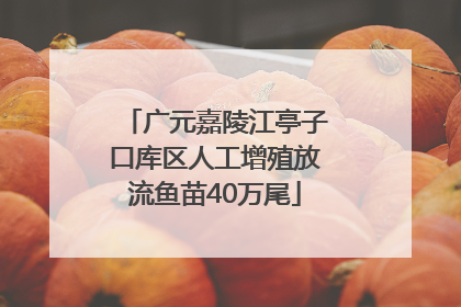 广元嘉陵江亭子口库区人工增殖放流鱼苗40万尾