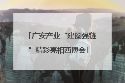广安产业“建圈强链”精彩亮相西博会