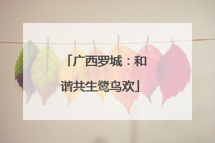 广西罗城：和谐共生鹭鸟欢