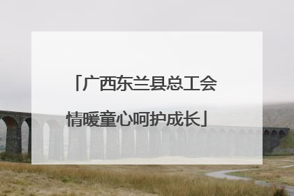 广西东兰县总工会情暖童心呵护成长
