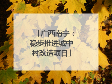 广西南宁：稳步推进城中村改造项目