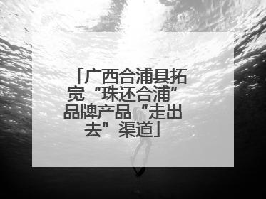 广西合浦县拓宽“珠还合浦”品牌产品“走出去”渠道