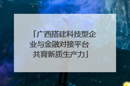 广西搭建科技型企业与金融对接平台 共育新质生产力