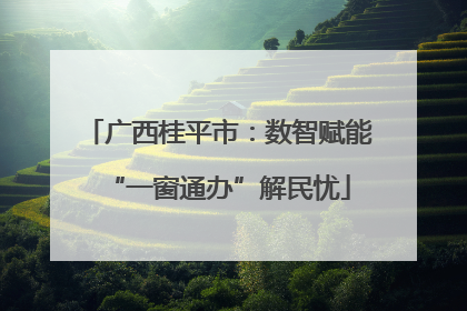 广西桂平市：数智赋能“一窗通办”解民忧