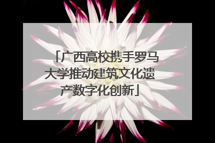广西高校携手罗马大学推动建筑文化遗产数字化创新