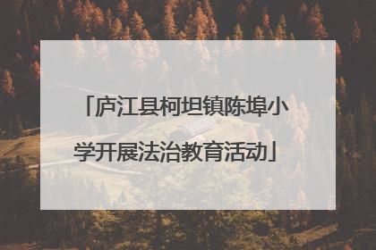 庐江县柯坦镇陈埠小学开展法治教育活动