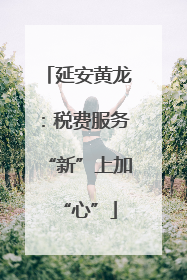 延安黄龙：税费服务“新”上加“心”