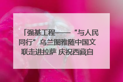 强基工程——“与人民同行”乌兰图雅随中国文联走进拉萨 庆祝西藏自治区成立60周年