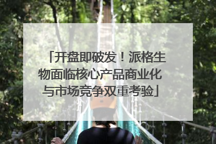 开盘即破发！派格生物面临核心产品商业化与市场竞争双重考验