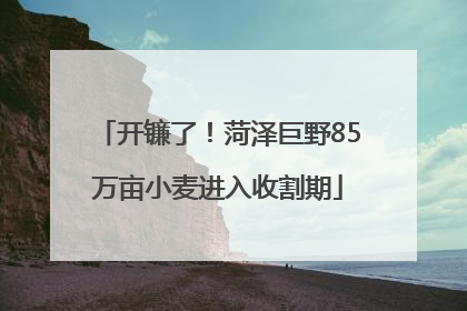 开镰了！菏泽巨野85万亩小麦进入收割期