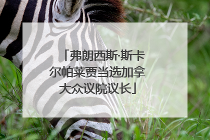 弗朗西斯·斯卡尔帕莱贾当选加拿大众议院议长