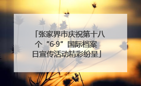 张家界市庆祝第十八个“6·9”国际档案日宣传活动精彩纷呈