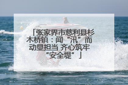 张家界市慈利县杉木桥镇：闻“汛”而动显担当 齐心筑牢“安全堤”