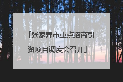 张家界市重点招商引资项目调度会召开