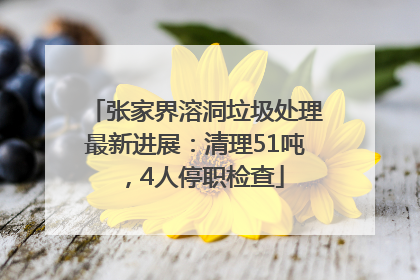 张家界溶洞垃圾处理最新进展：清理51吨，4人停职检查