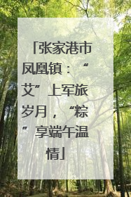 张家港市凤凰镇：“艾”上军旅岁月，“粽”享端午温情