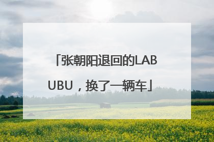 张朝阳退回的LABUBU，换了一辆车