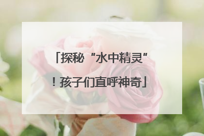探秘“水中精灵”！孩子们直呼神奇