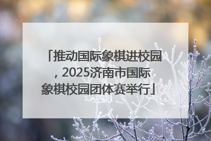 推动国际象棋进校园，2025济南市国际象棋校园团体赛举行