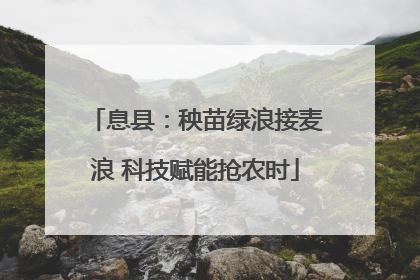 息县：秧苗绿浪接麦浪 科技赋能抢农时