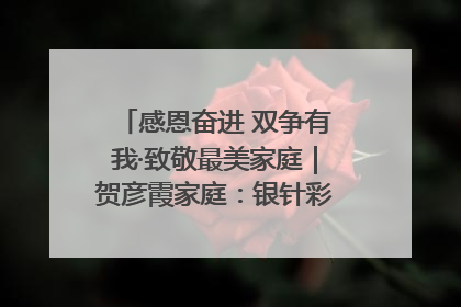 感恩奋进 双争有我·致敬最美家庭｜贺彦霞家庭：银针彩线绣出好日子