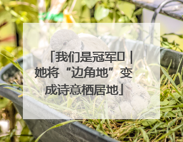 我们是冠军㉓｜她将“边角地”变成诗意栖居地